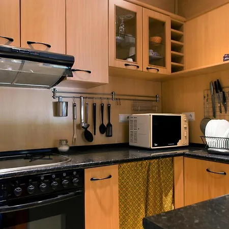 Atico Con Terraza En Graus-pirineo De Huesca * Graus