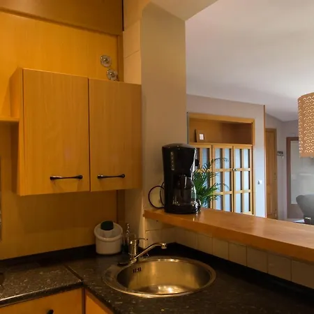 Atico Con Terraza En Graus-pirineo De Huesca * Graus